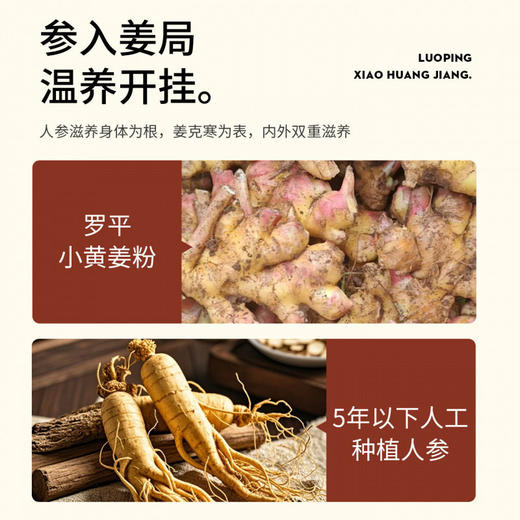 参姜丸250克云南罗平小黄姜熟姜丸红参姜粉制成原始点浓姜食用暖胃姜豆 商品图3