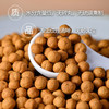 云南人参姜丸瓶装250g即食云南特产养生调理罗姜缘 商品缩略图3
