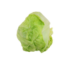 供港蔬菜西生菜（550±20g） 商品缩略图0