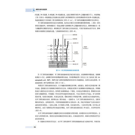 病原生物与免疫学 第3三版 吴正吉 张业霞 主编 全国高职高专院校药学类与食品药品类专业十五五规划教材 中国医药科技出版社 商品图4