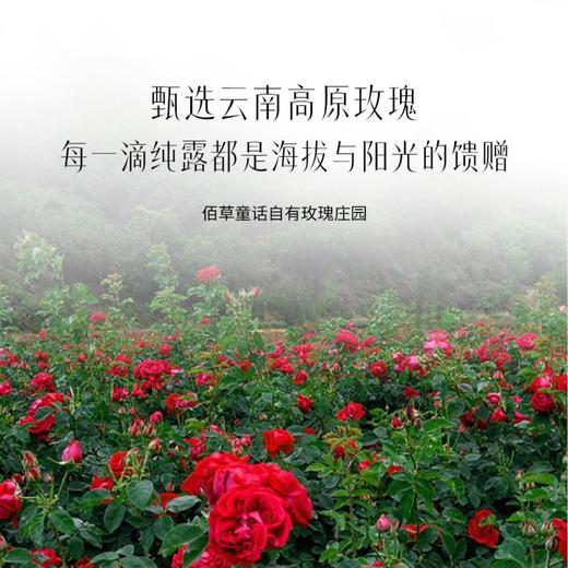 【纯净配方】佰草童话 玫瑰纯露 500ml/瓶*2瓶 深入沁润肌肤柔嫩透亮 商品图3
