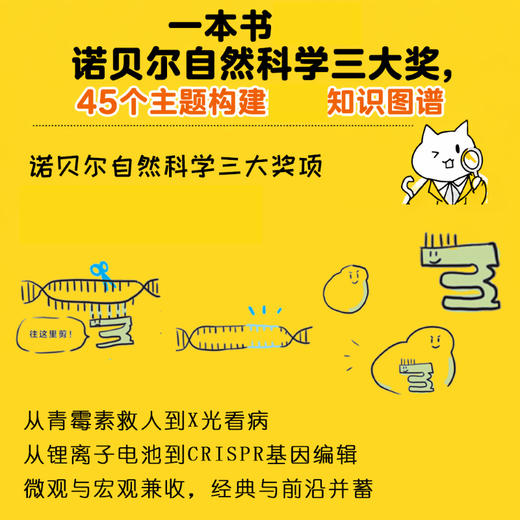半小时漫画诺贝尔科学奖 生理学或医学奖 物理学奖 化学奖 商品图3