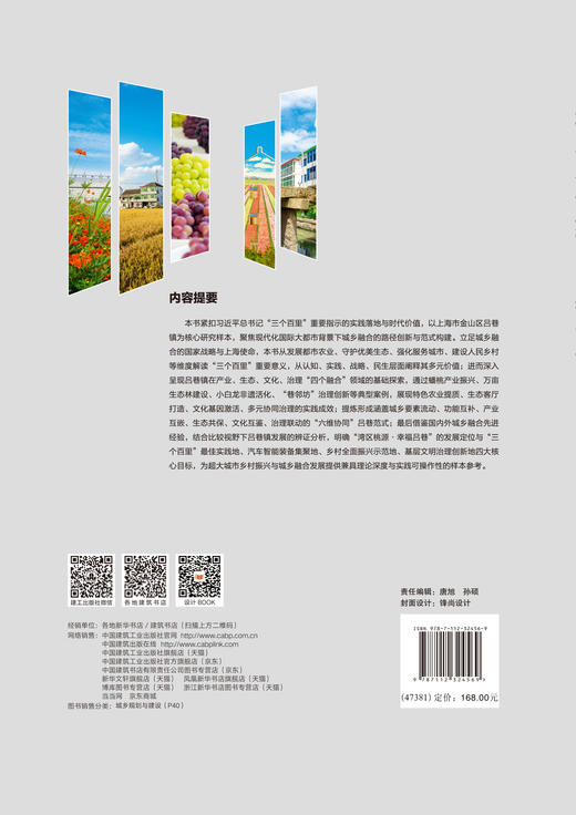 城乡融合背景下的吕巷实践 商品图3