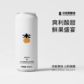 沙坡尾 水果系列杏子山楂蔓越莓15°P水果古斯啤酒 500ml/听