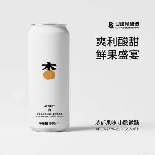 沙坡尾 水果系列杏子山楂蔓越莓15°P水果古斯啤酒 500ml/听 商品图0