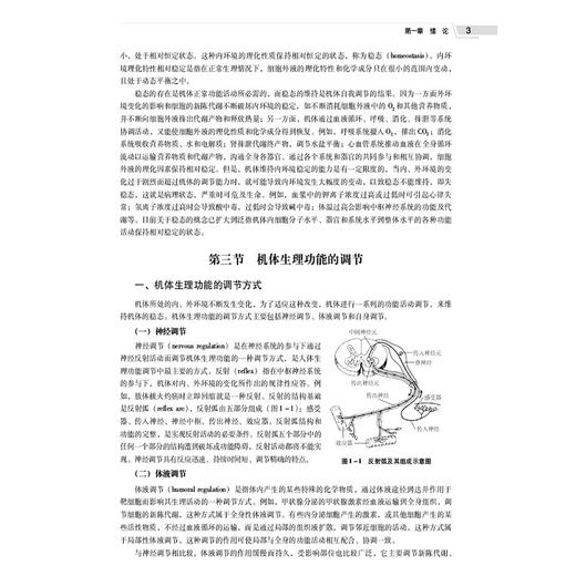 生理学纲要 张秀娟 吴洪福 全国高等医药院校精品教材 主要适用于医学院校中开设的各类医学交叉学科等专业 中国医药科技出版社 商品图4