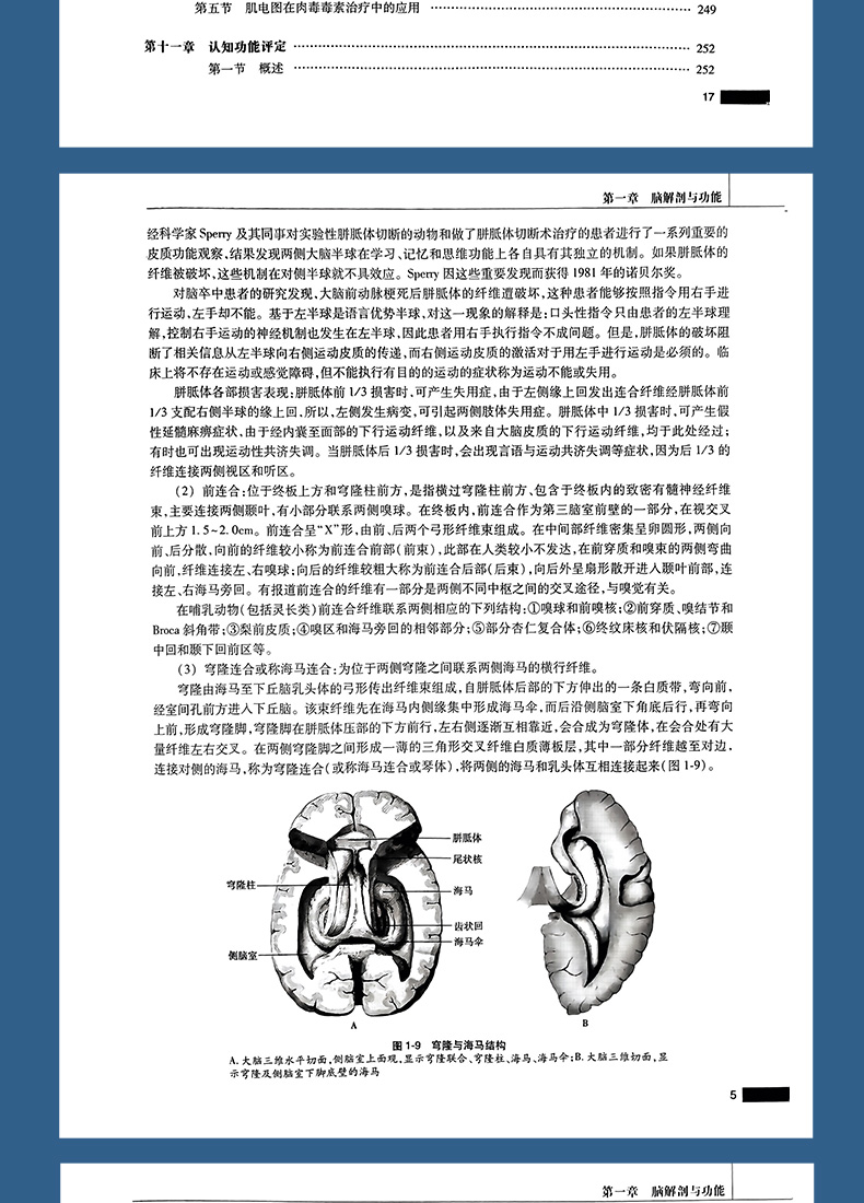 9787117332415-实用瘫痪康复_08.jpg