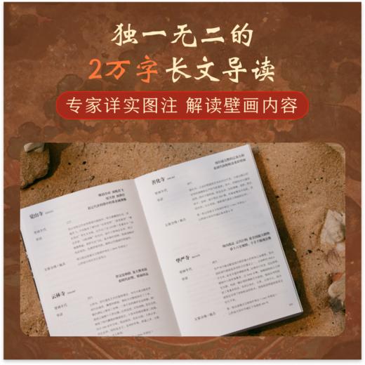地上看山西：中国古代寺观传世壁画（平装） 商品图2