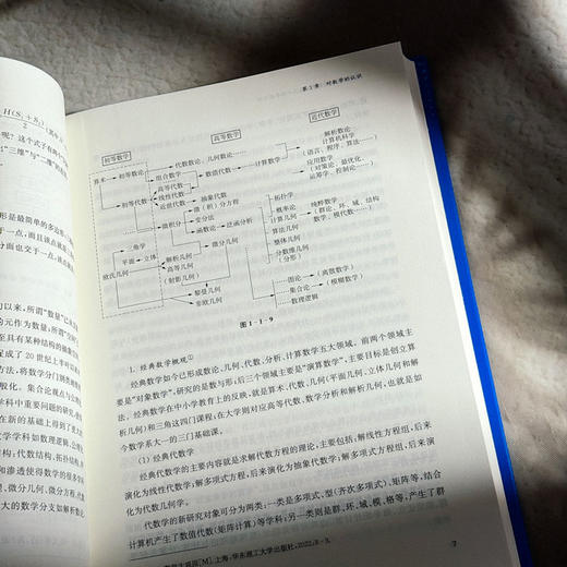 岁月深耕 初中数学课改二十五年思与行 李文革 商品图9