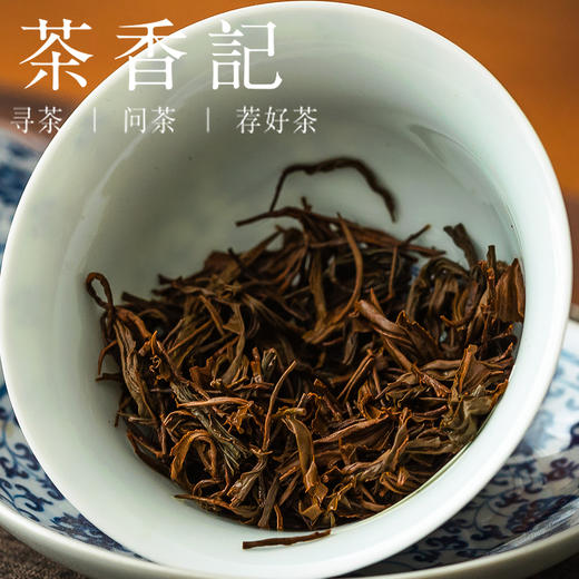 茶香记荒野祁门红茶026安徽祁门核心产区槠叶种荒野老树高山红茶 商品图3