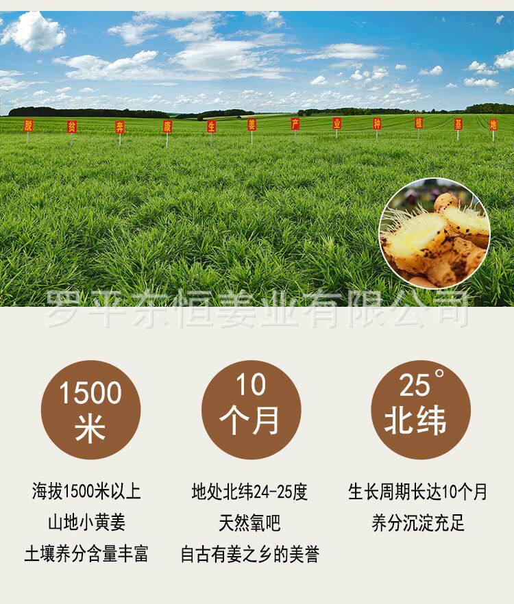 详情_07.jpg