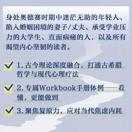 像苏格拉底一样无知 打不倒的活法 斯多葛主义 复原力 心理学书籍 哲学书籍 商品图2