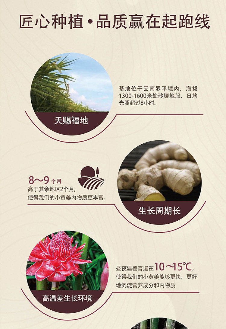 姜丸详情页_17