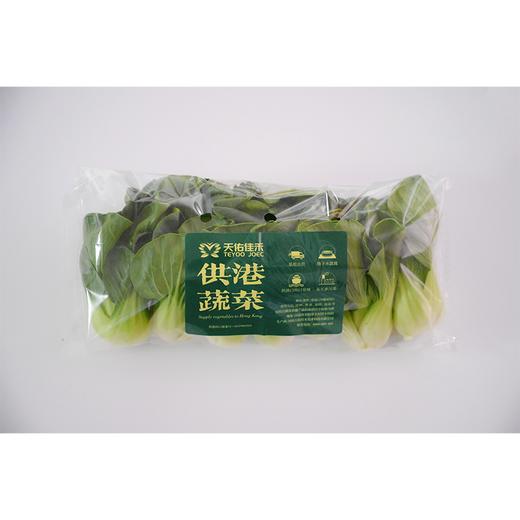 供港蔬菜上海青苗（份） 商品图1