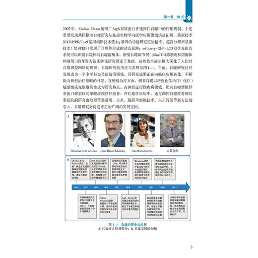 细胞自噬与靶向治疗 刘博 韩波 主编 本书适用于高等医学院校研究生选读使用也可作为从事相关领域的科研人员等中国医药科技出版社 商品图4