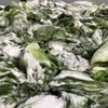 自然发酵 地道广西酸 | 廣府酱园 小缸酸菜 可以放心吃的酸菜 食材 320克*3袋/5袋 商品缩略图5