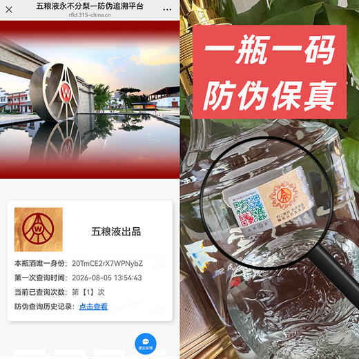 热卖中！【五粮液股份出品·九洲至樽凤翔】52度浓香型白酒 一瓶一码 商品图1