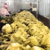 自然发酵 地道广西酸 | 廣府酱园 小缸酸菜 可以放心吃的酸菜 食材 320克*3袋/5袋 商品缩略图4