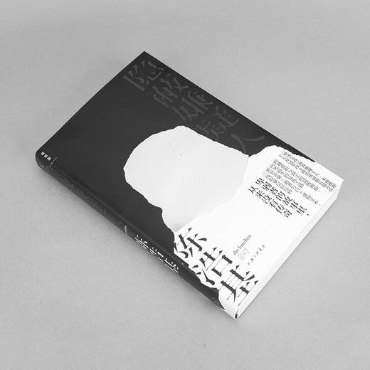 隐蔽嫌疑人 商品图2