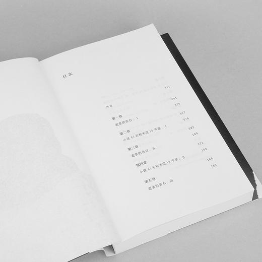 隐蔽嫌疑人 商品图6