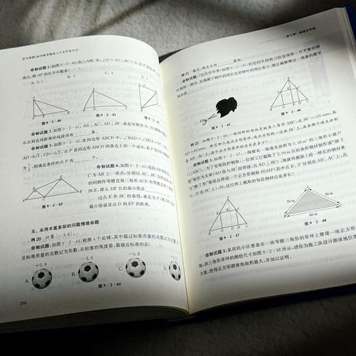 岁月深耕 初中数学课改二十五年思与行 李文革 商品图12