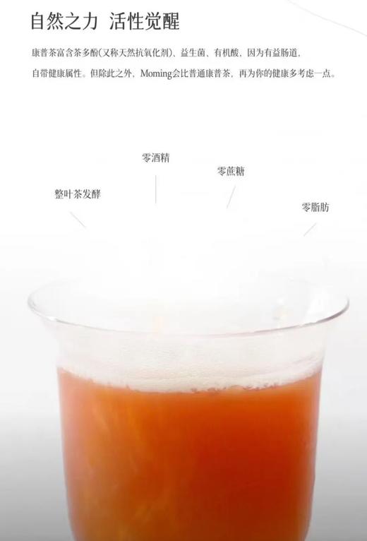 2026亚洲第一酒吧「明前龙井」气泡茶！纯天然发酵无酒精清爽好喝超健康！ 商品图2