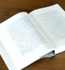 【毛边签名版 限量300册】《西塔：一个东北街区中的空间、国家与日常》，精装，32开，宋念申著，上海人民出版社2026年8月一版一印，376页，定价79.8元，售价79.8元。 商品缩略图7