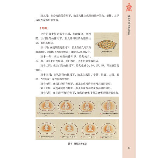 藏医论述索瓦日巴 洛嘎 迪青曲追 主编 一位资深老藏医对藏医药的见解 藏医学对人体的认知等内容 9787515229676中医古籍出版社 商品图4
