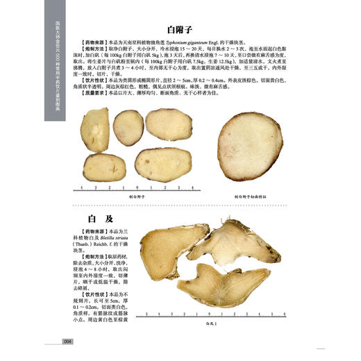 国医大师金世元500种常用中药饮片鉴别图典 马春 王秀娟 罗容 主编 国医大师金世元中药学全集 9787524702931中国中医药出版社 商品图4