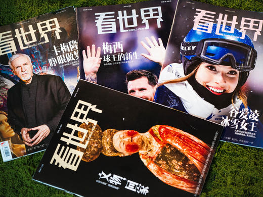 《南风窗》，斩获中国出版政府奖、中国新闻奖，一本真正适合全家人的国民级品质读物，2026年8月——2027年7月跨年订阅，全年26期，赠送4本《看世界》精选期刊 商品图8