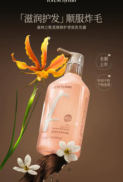 扁头克星正品森林之歌洗发水500ml 商品图4