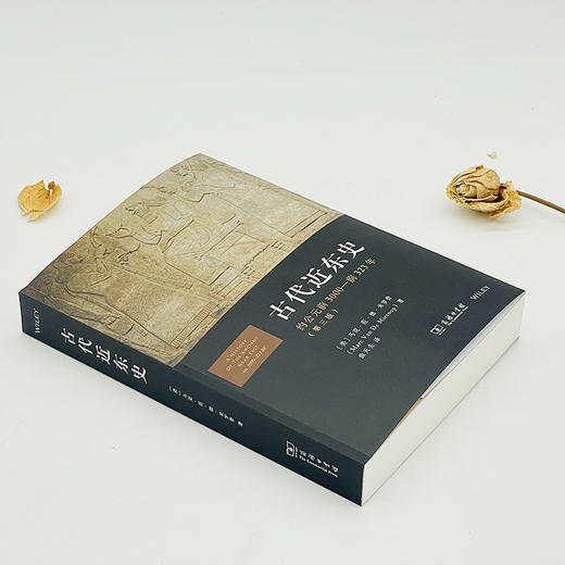 古代近东史：约公元前3000—前323年 商品图2