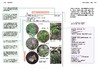 蕨类观察手册 416种本土蕨类 照片3000+ 新手实用入门 王云涯 著 商务印书馆 商品缩略图9