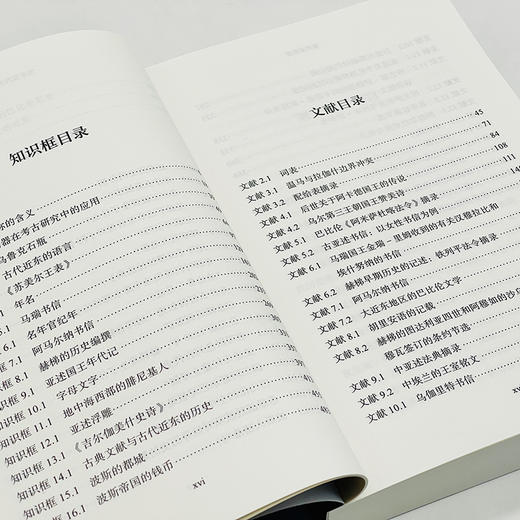 古代近东史：约公元前3000—前323年 商品图6