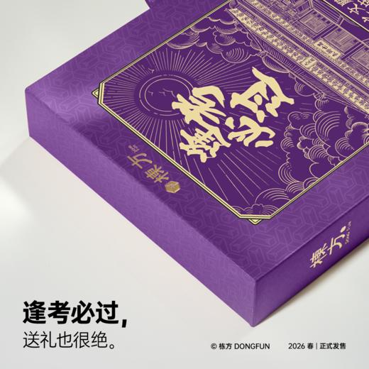 栋方榫卯积木 天子之学堂国子监 原木材质含涂色工具 商品图5