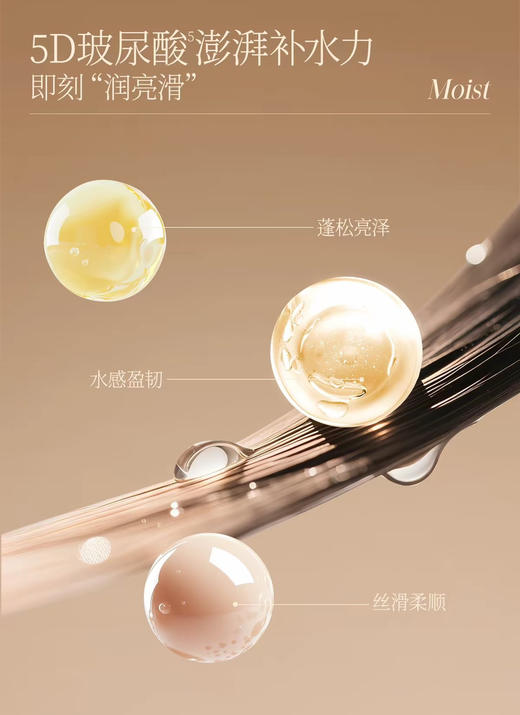 扁头克星正品森林之歌洗发水500ml 商品图8