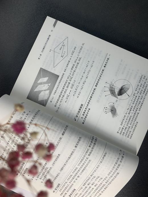 高等数学学习指南/从福仲，李雪飞 商品图7