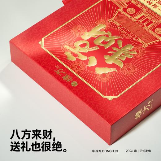 栋方榫卯积木 天下第一财神庙 原木材质 含涂色工具 商品图5