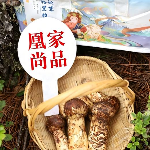【凤凰网溯源一级鲜松茸 顺丰冷链空运】云南香格里拉野生松茸  海拔3000米以上 全程严选 新鲜采摘 香味馥郁 商品图0