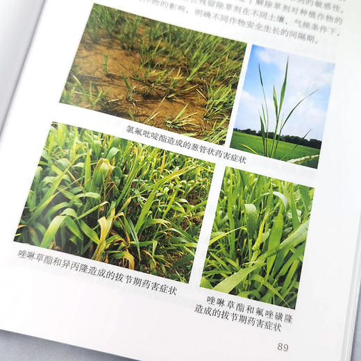 图解农药科学使用100问（第2版）【官方正版，可开发票】 商品图4