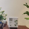 茉莉花茶（定制版） 商品缩略图9