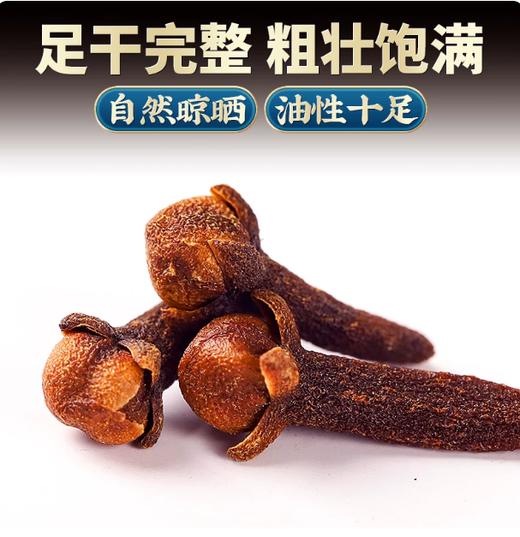 【YMHR】调味 丁香 商品图1