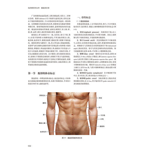 临床解剖学丛书 腹盆部分册 第3三版 郎景和 李国新 邓雪飞 杨晓飞 主编 主要包括基础临床解剖学、临床解剖学要点 人民卫生出版社 商品图4