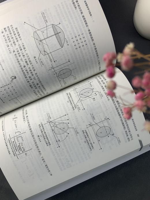 高等数学学习指南/从福仲，李雪飞 商品图8