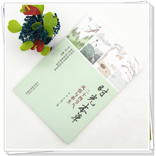 时光本草:二十四节气风俗与养生 张涛 毛心勇 主编 中华中医药学会名医名家科普工作室系列丛书 中国中医药出版社 商品图1