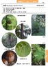 蕨类观察手册 416种本土蕨类 照片3000+ 新手实用入门 王云涯 著 商务印书馆 商品缩略图12