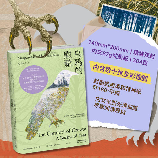 【热卖】乌鸦的慰藉（精装）一封关于失去与重生、哀悼与热爱的温柔情书。 商品图8