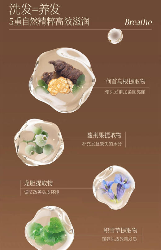 扁头克星正品森林之歌洗发水500ml 商品图9