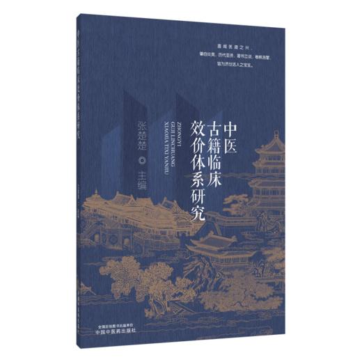 中医古籍临床效价体系研究 张楚楚 书中构建完整理论框架与操作指南 采用严谨研究方法与评价标准 9787524702368中国中医药出版社 商品图1