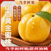 【桃香+杏香+芒果香 肉厚核小 纯甜无酸】山西运城黄金蜜桃4.5斤 商品缩略图9